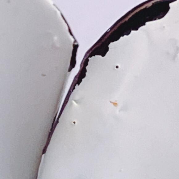 Vintage 1960s Brooch White Enamel Metal Mod Flower Black Edge Mid Century Pin - Picture 11 of 11